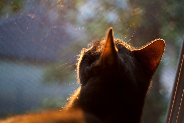 体育产业技术创新成果，体育产业创新创业的内容及基本流程有哪些