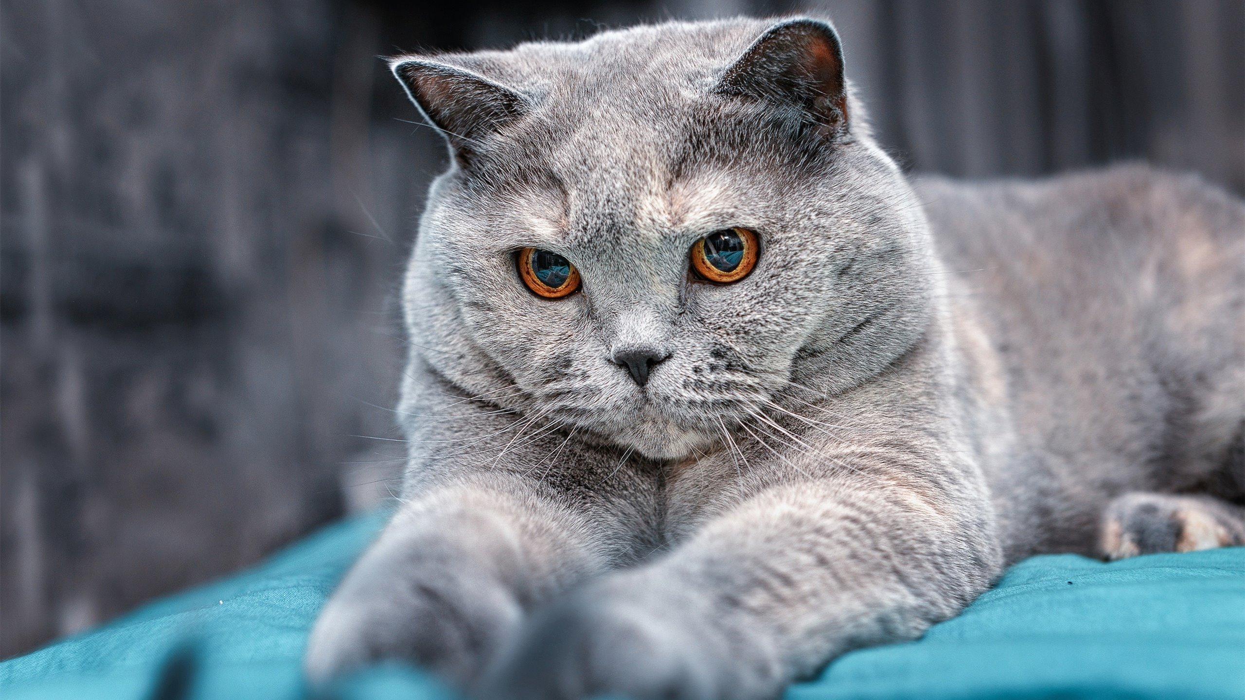 体育产业技术创新成果，体育产业创新创业的内容及基本流程有哪些